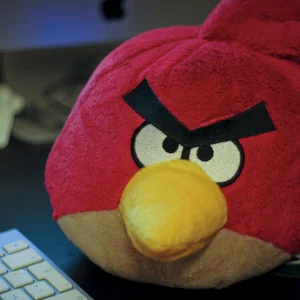Home Workout #5: Attack of the Angry Birds